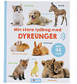 Forlaget Bolden Book w. Sound - My Large Audiobook w. Animal Bab Forlaget Bolden Book w. Sound - My Large Audiobook w. Animal Bab