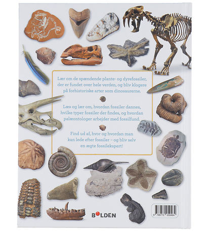 Forlaget Bolden Boek - Mijn Boek Over fossielen