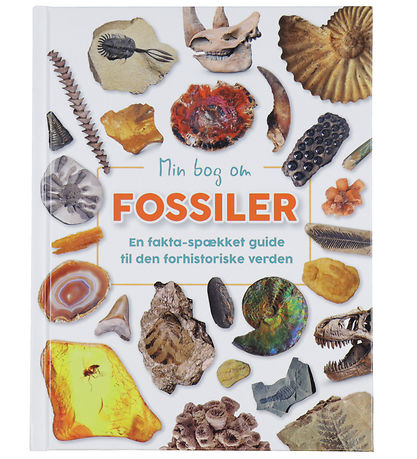 Forlaget Bolden Boek - Mijn Boek Over fossielen