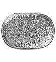 DAY ET Trinket Box - Disco Jewelry Zip Oval - Silver DAY ET Trinket Box - Disco Jewelry Zip Oval - Silver