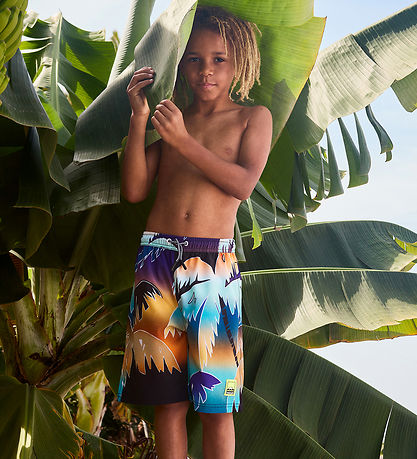 Molo Swim Shorts - UV50+ - Nilson - Faded Palmtrees