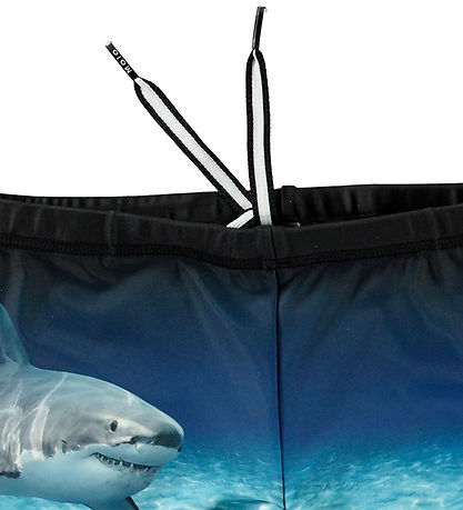 Molo Badehose - UV50+ - Norton Placed - verblasst Shark