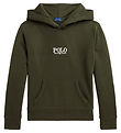 Polo Ralph Lauren Kapuzenpullover - Gürteltier Polo Ralph Lauren Kapuzenpullover - Gürteltier