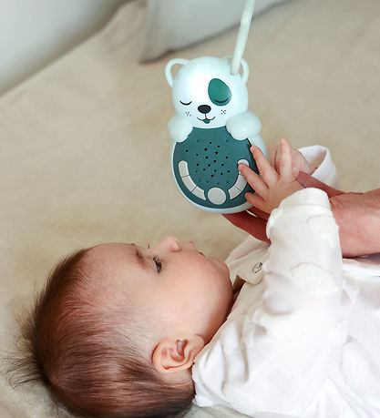 Cloud-B Night light w. Sound - Sweet Dreamz On The Go - 16.5x12x