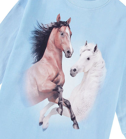 Molo Sweat Dress - Cyrella - Bleu Horses