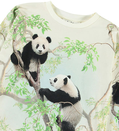 Molo Blouse - Reniza - Cuteness
