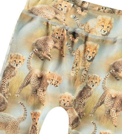 Molo Trousers - Sammy - Cheetah Cubs