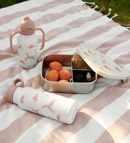 Liewood Vattenflaska - Falk - 350 ml - Dream/Ecru