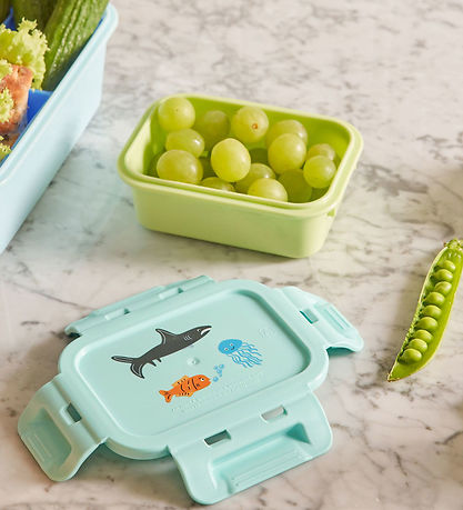 Rice Lunchbox - Lunchbox - 250 mL - Mint/Wildlife