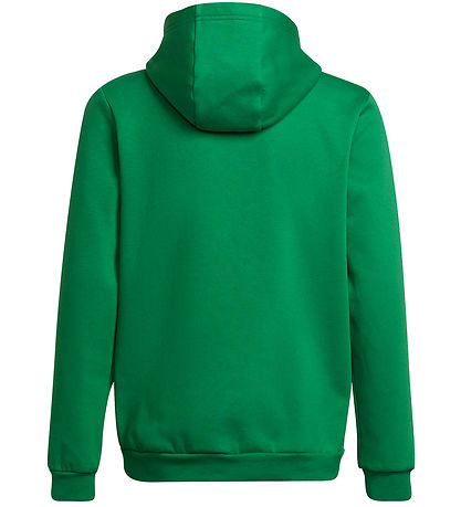 adidas Performance Hoodie - Ent22 Hoody Y - Teagrn/White