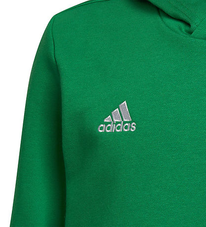 adidas Performance Hoodie - Ent22 Hoody Y - Teagrn/White