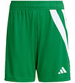 adidas Performance Shorts - FORTORE23 SHO Y - TEAGRN/White adidas Performance Shorts - FORTORE23 SHO Y - TEAGRN/White