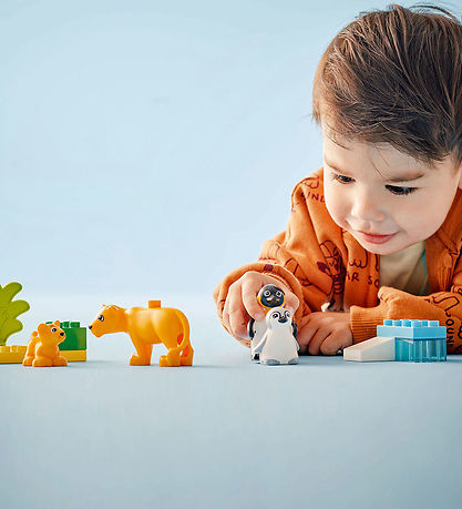 LEGO® DUPLO - Wildtier-Familien: Pinguine und Löwen 10442 - 10