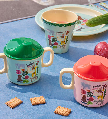 Rice Dinner Set - Melamine - 4 pcs - Wildlife Print - Mint