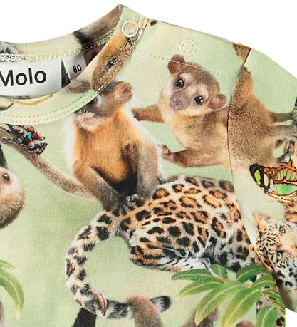 Molo T-shirt - Easy - Jungle Cubs Molo T-shirt - Easy - Jungle Cubs