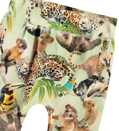 Molo Trousers - Sammy - Jungle Cubs