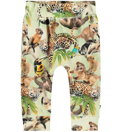 Molo Trousers - Sammy - Jungle Cubs