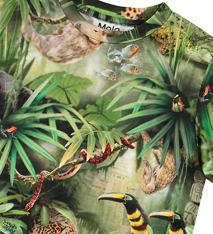 Molo T-shirt - Ralphie - Jungle Animals Molo T-shirt - Ralphie - Jungle Animals