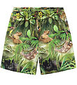 Molo Shorts - Amil - Jungle Animals Molo Shorts - Amil - Jungle Animals