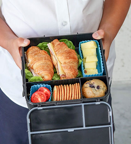 MontiiCo Silicone Molds - Bento Cups Mixed - 3 pcs - Coastal MontiiCo Silicone Molds - Bento Cups Mixed - 3 pcs - Coastal