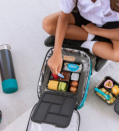 MontiiCo Snackbox w. 3 Rum - Bento Two - 500 mL - Dinosaur Count MontiiCo Snackbox w. 3 Rum - Bento Two - 500 mL - Dinosaur Count