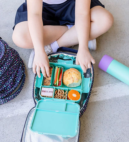 MontiiCo Lunchbox w. 5 Rum - Bento Plus - 1.3 L - Lagoon