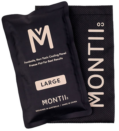 MontiiCo Cooler Bag - Large - 4.93 L - Dinosaur