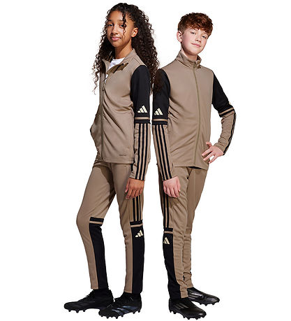 adidas Performance Trousers - Tr PNT T - Blacar/Black/Warvan