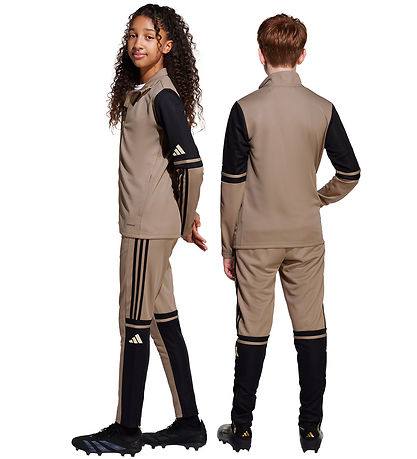 adidas Performance Trousers - Tr PNT T - Blacar/Black/Warvan