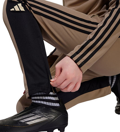 adidas Performance Trousers - Tr PNT T - Blacar/Black/Warvan