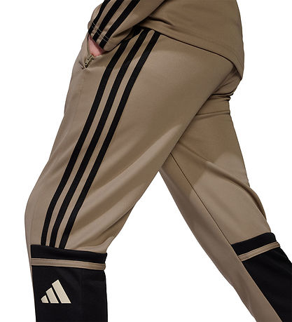 adidas Performance Trousers - Tr PNT T - Blacar/Black/Warvan