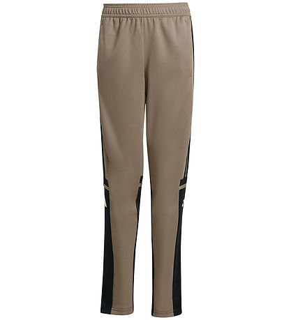adidas Performance Trousers - Tr PNT T - Blacar/Black/Warvan