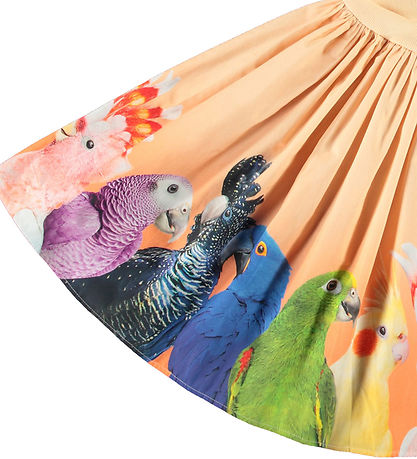 Molo Mekko - Joustinneule - Cissa - Rainbow Parrots M. Tulosta