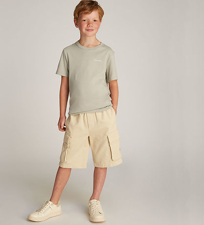 Calvin Klein T-Shirt - Borst Inst. Logo - Laurier Oak Grey Calvin Klein T-Shirt - Borst Inst. Logo - Laurier Oak Grey