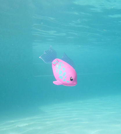 Simbanor Badleksaker - Rainbow Reef - Tuna Turna