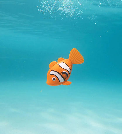 Zwempaden Badspeelgoed - Rainbow Reef - Zwem Schaduwrijk