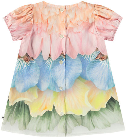 Molo Dress - Box - Petal Rainbow