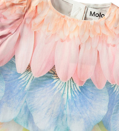 Molo Dress - Box - Petal Rainbow