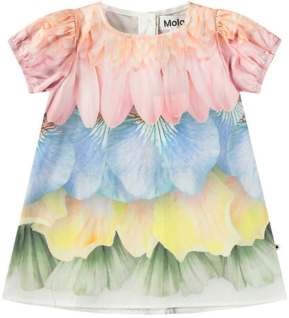 Molo Dress - Box - Petal Rainbow