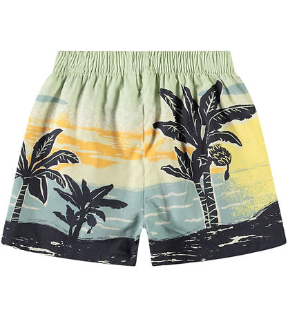 Molo Shorts - Solar - Palm Baby Nanas