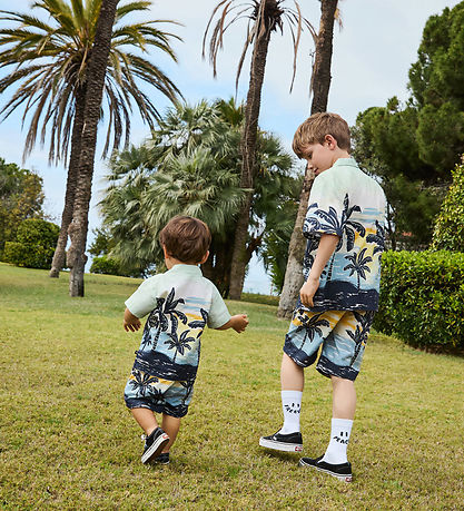 Molo Shorts - Solar - Palm Baby Nanas