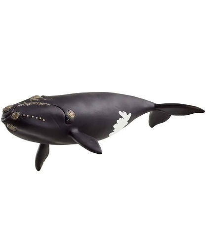 Schleich Wild Life - Northern Cape Whale - 19.5 cm - 14878