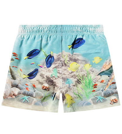 Shorts de Bain Molo - UV50+ - Niko - Happy Ocean