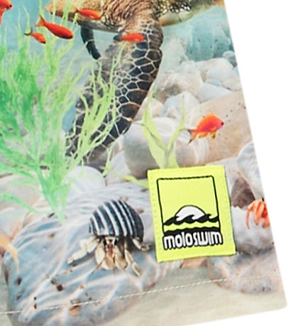 Shorts de Bain Molo - UV50+ - Niko - Happy Ocean