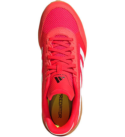 adidas Performance Indoor sports shoes - Predator League - Indoo