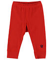 Katvig Leggings - Red Katvig Leggings - Red