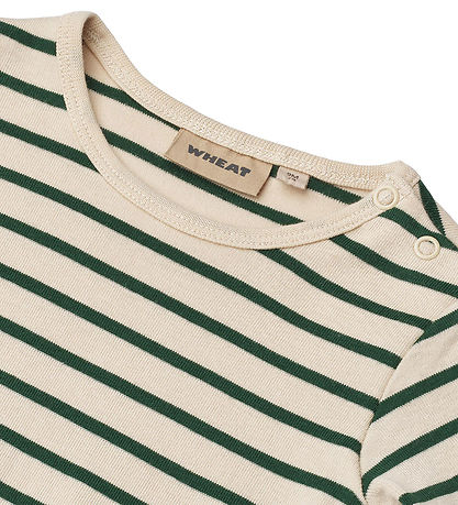 Wheat Body I/e - Bertie - Green Stripe