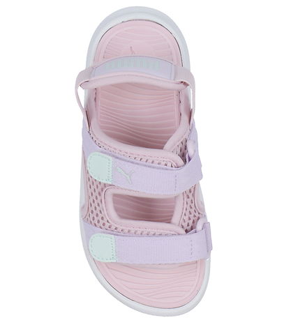 Puma Sandalar - Þróast PS - Rose Mauve/Lilac Frozen