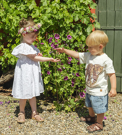 T-Shirt Hust and Claire - Anton - Ivory av. Leopard T-Shirt Hust and Claire - Anton - Ivory av. Leopard