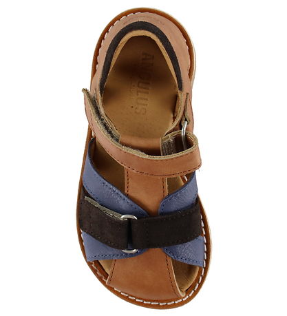 Angulus Sandals - Tan/Indigo/Dark